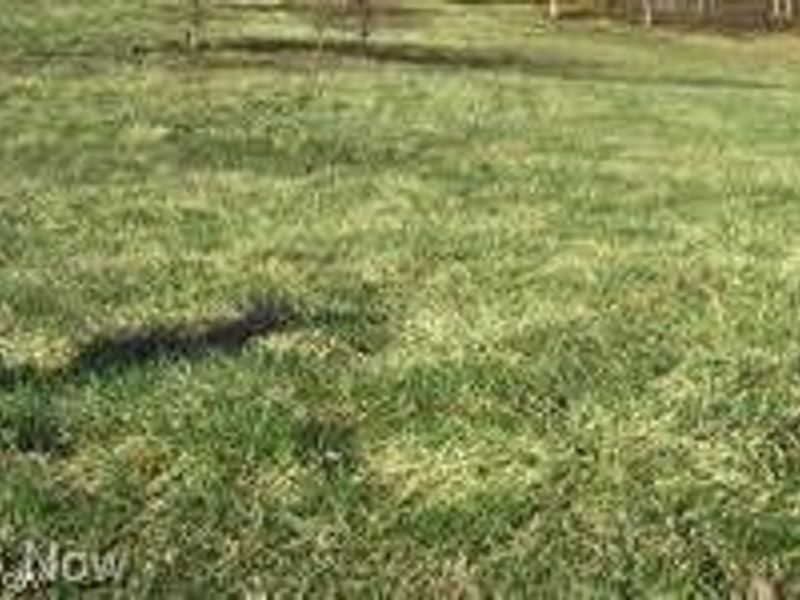 4768 Fette Road , Dennison, OH 44621 Photo 1