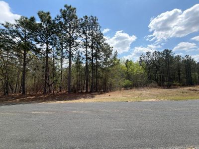 Cva 2 Mt. Calvary Road, Unit Cva 2, Ridge Spring, SC 29129