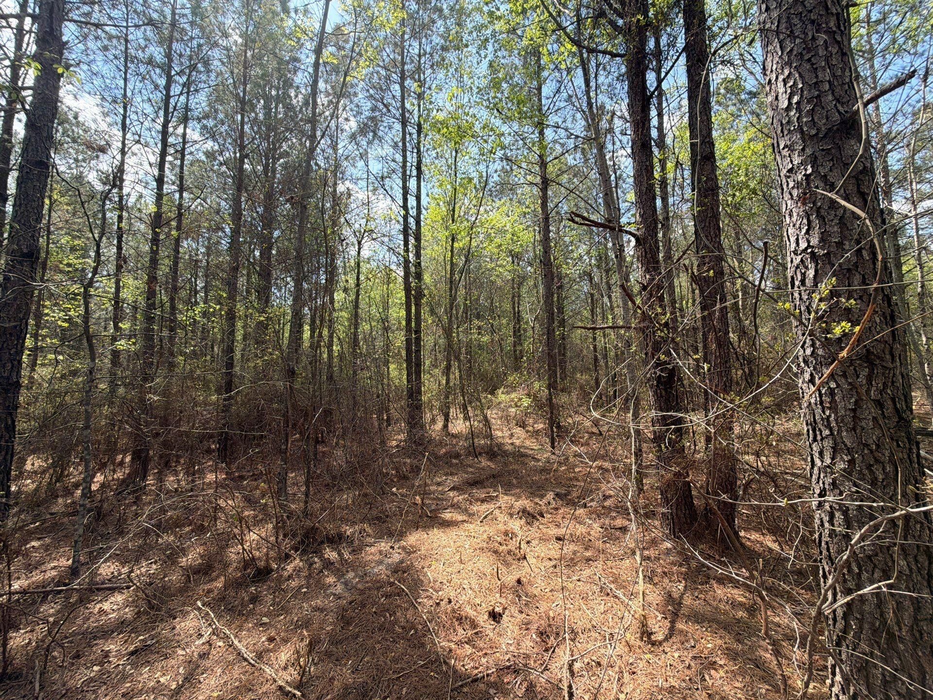 Cva 2 Mt. Calvary Road Photo 10