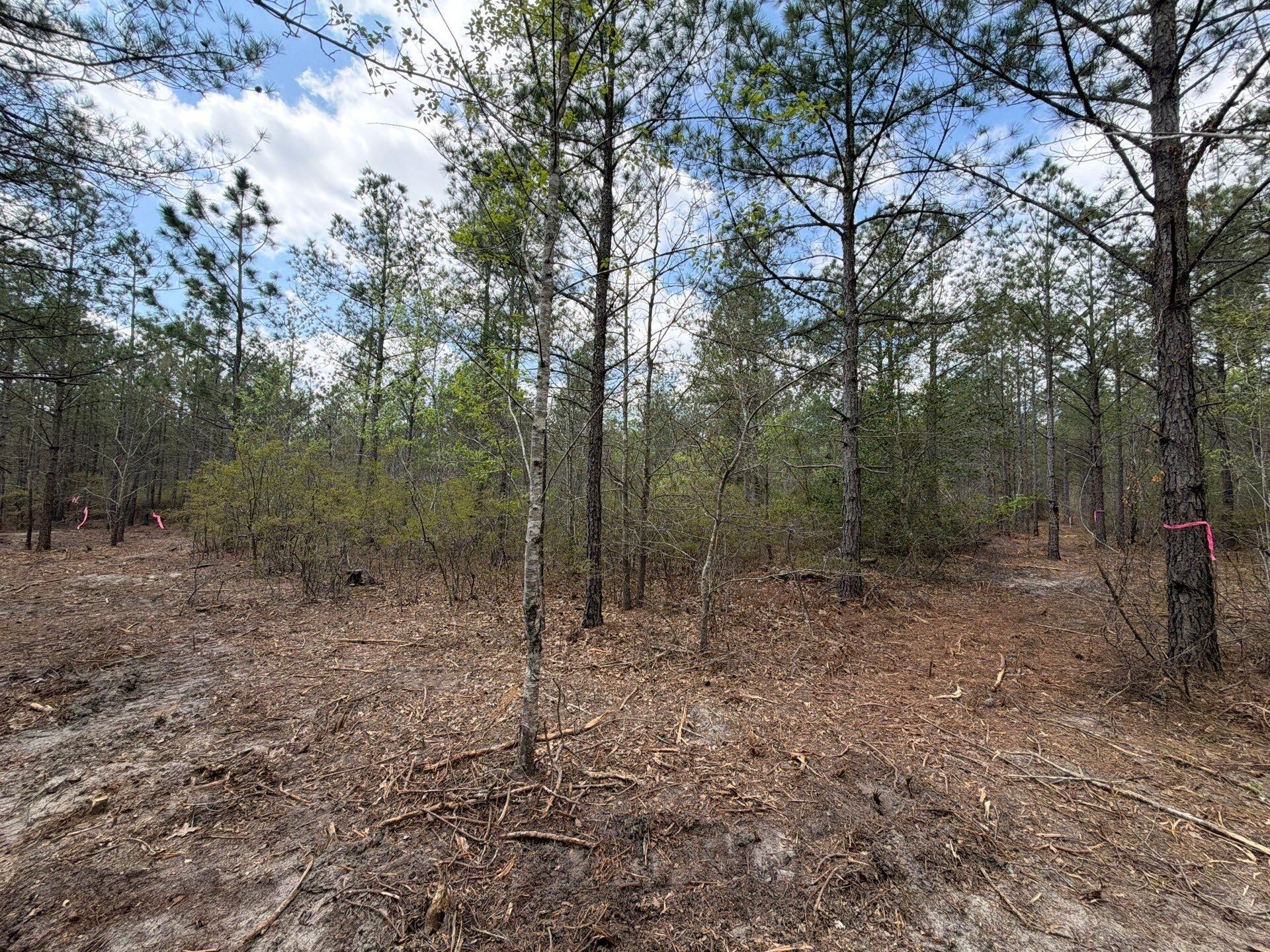 Cva 2 Mt. Calvary Road Photo 13