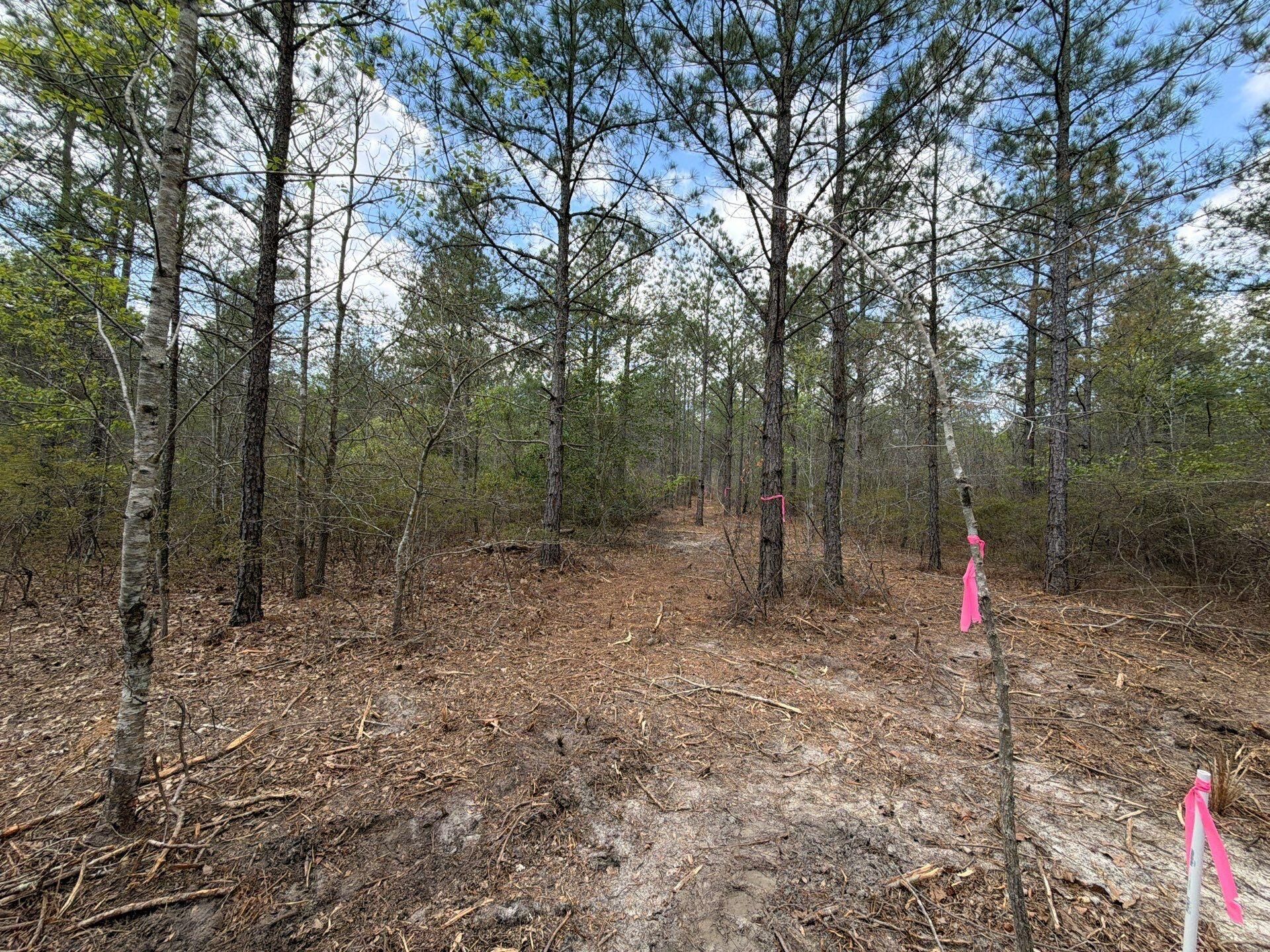 Cva 2 Mt. Calvary Road Photo 14