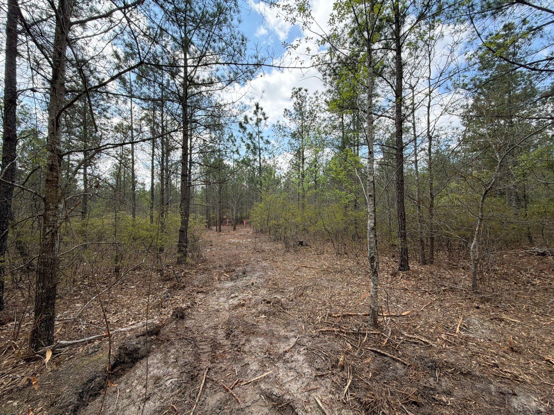 Cva 2 Mt. Calvary Road Photo 15