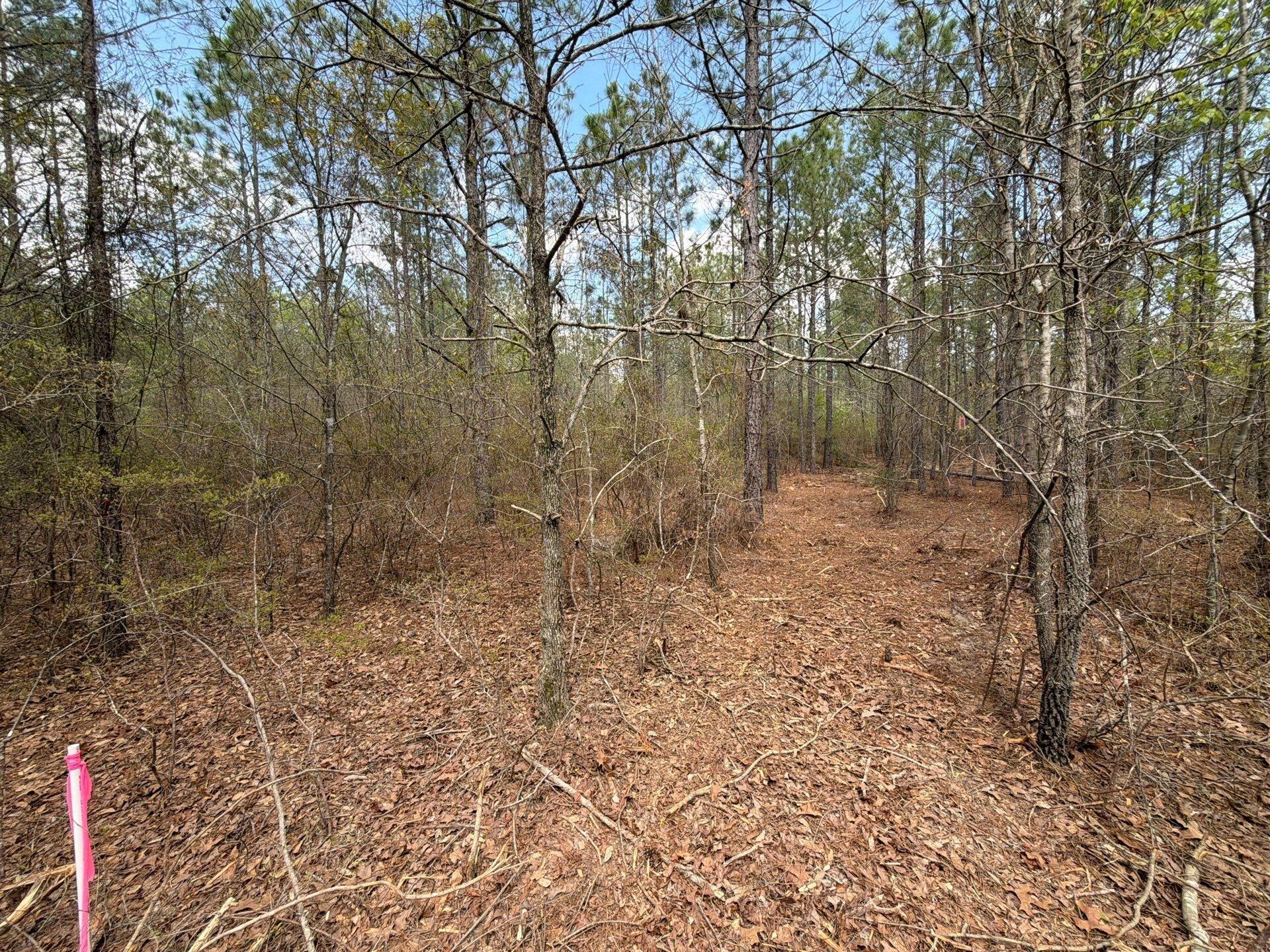 Cva 2 Mt. Calvary Road Photo 18