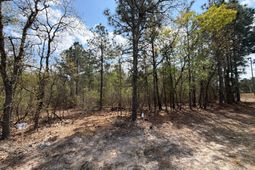 Cva 2 Mt. Calvary Road photo 4