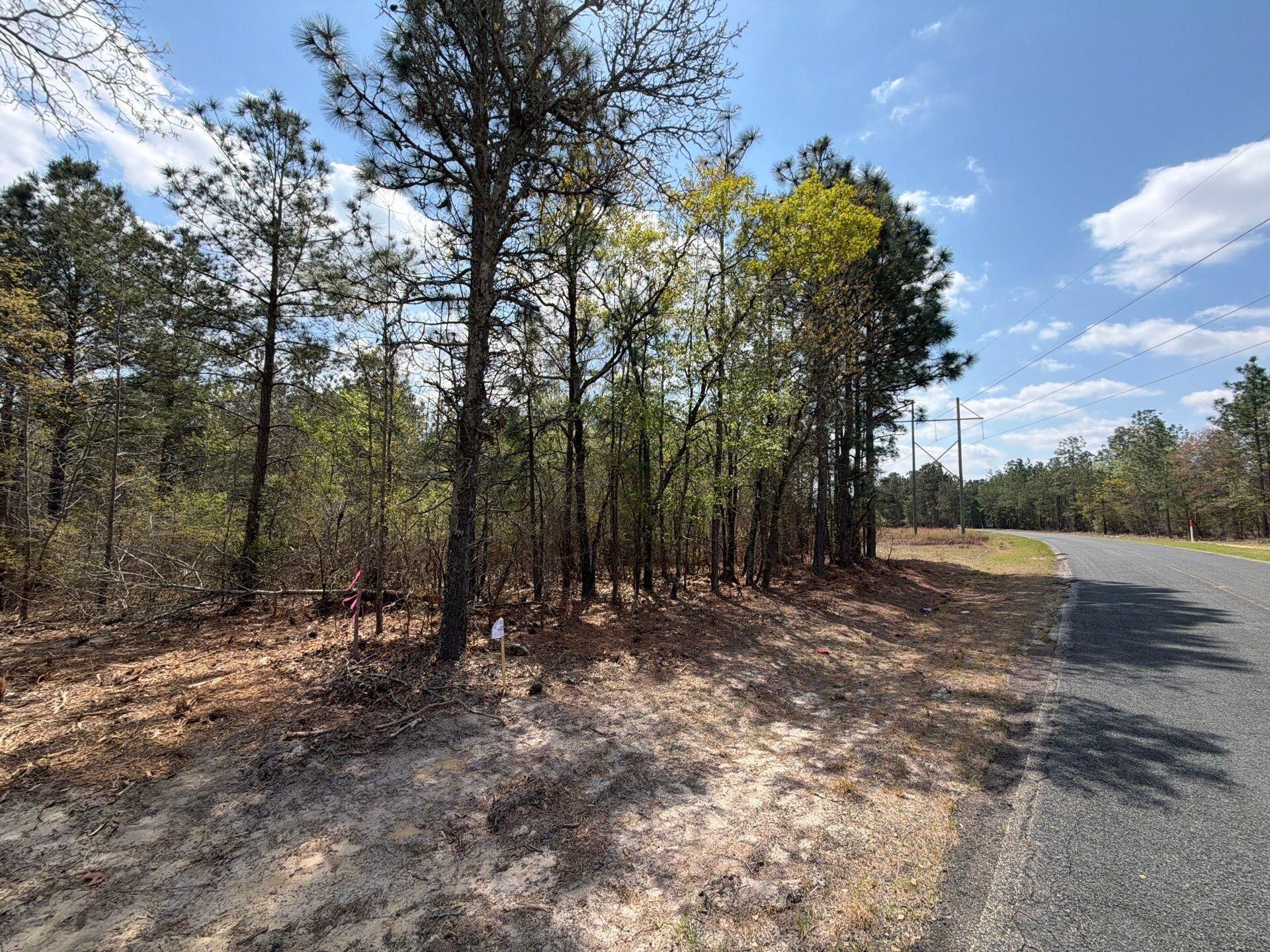 Cva 2 Mt. Calvary Road Photo 4