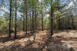 Cva 2 Mt. Calvary Road photo 4