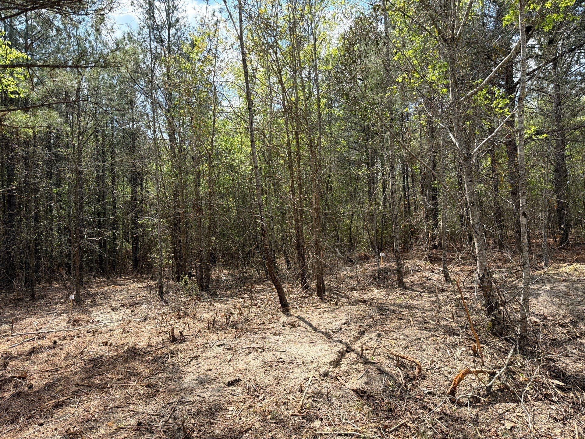 Cva 2 Mt. Calvary Road Photo 7