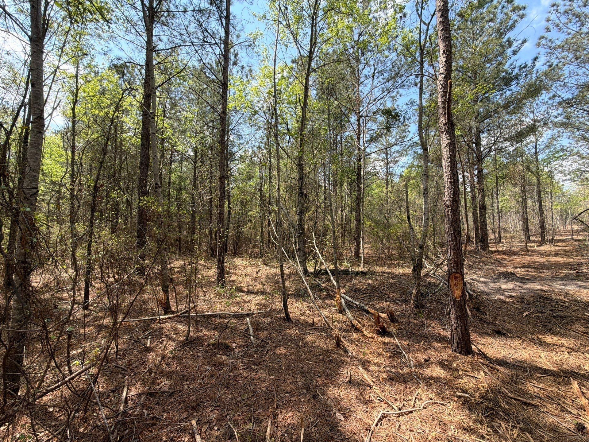 Cva 2 Mt. Calvary Road Photo 9