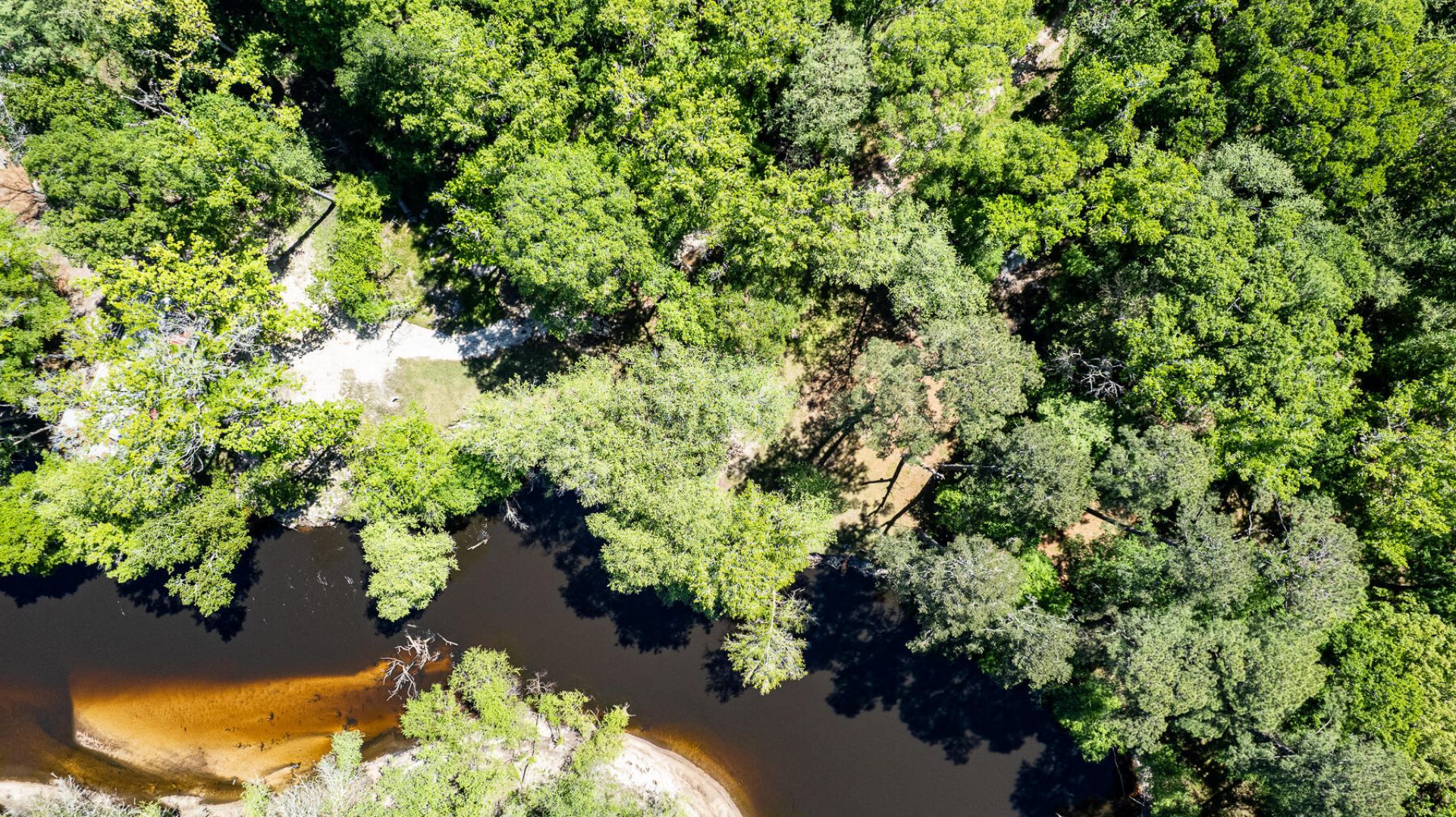 51 Mendel Court Photo 10