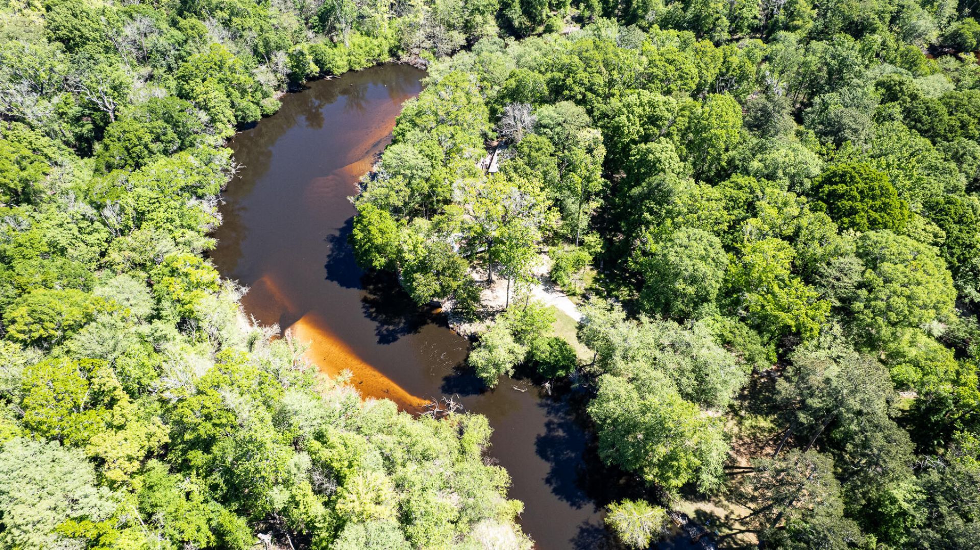 51 Mendel Court Photo 11