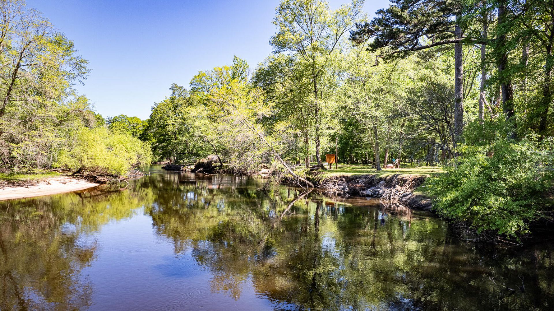 51 Mendel Court Photo 13