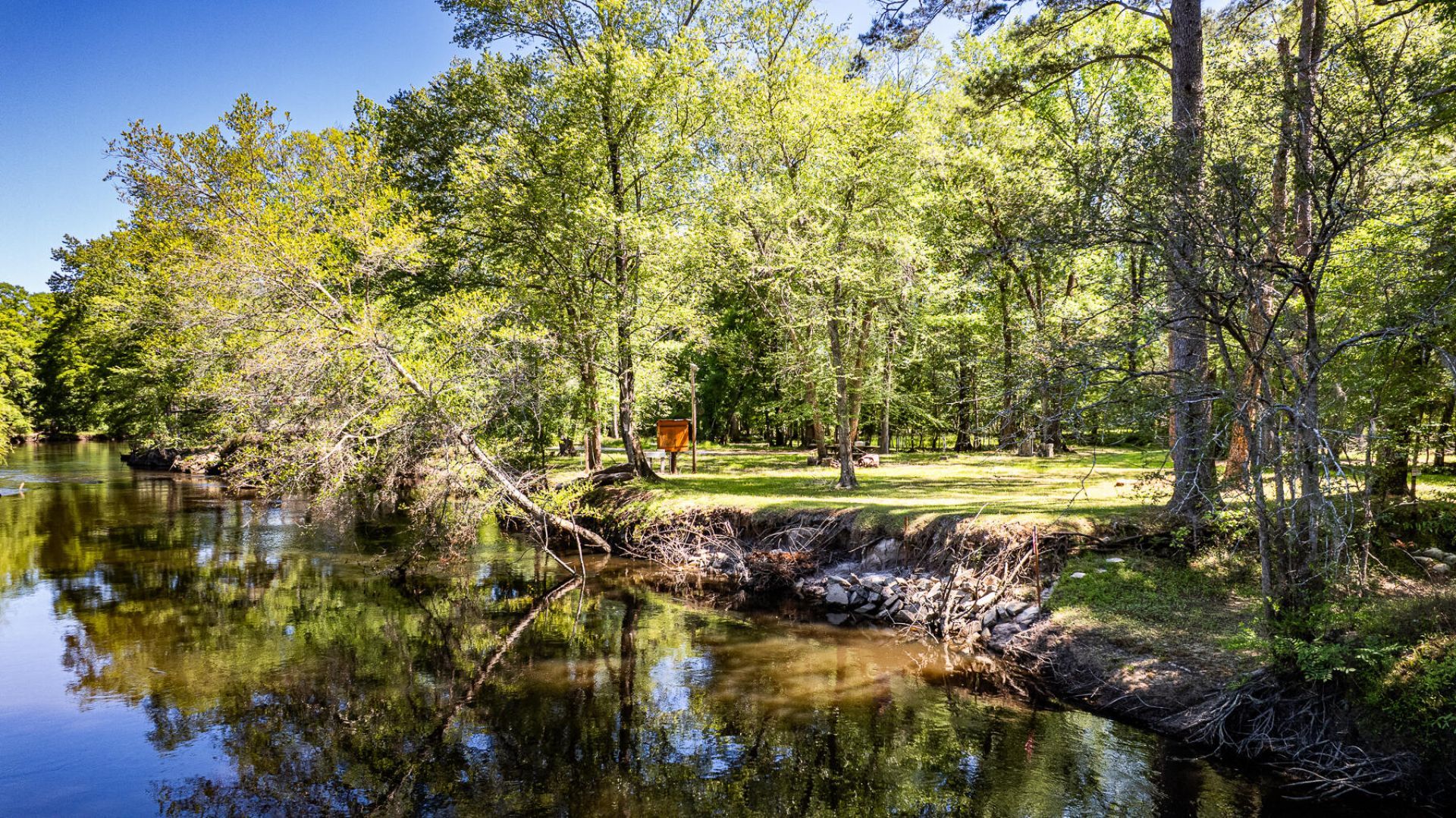 51 Mendel Court Photo 14