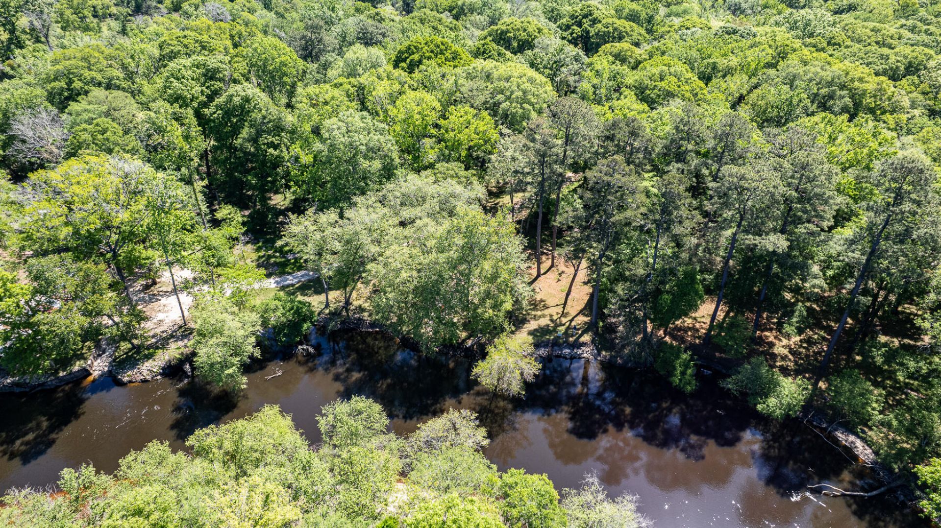 51 Mendel Court Photo 19