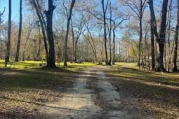 51 Mendel Court photo 4