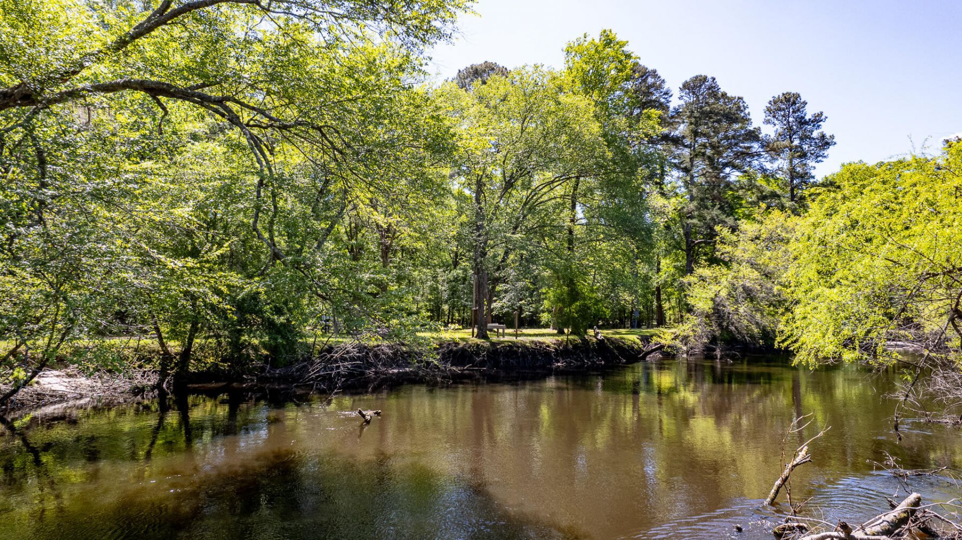 51 Mendel Court Photo 20