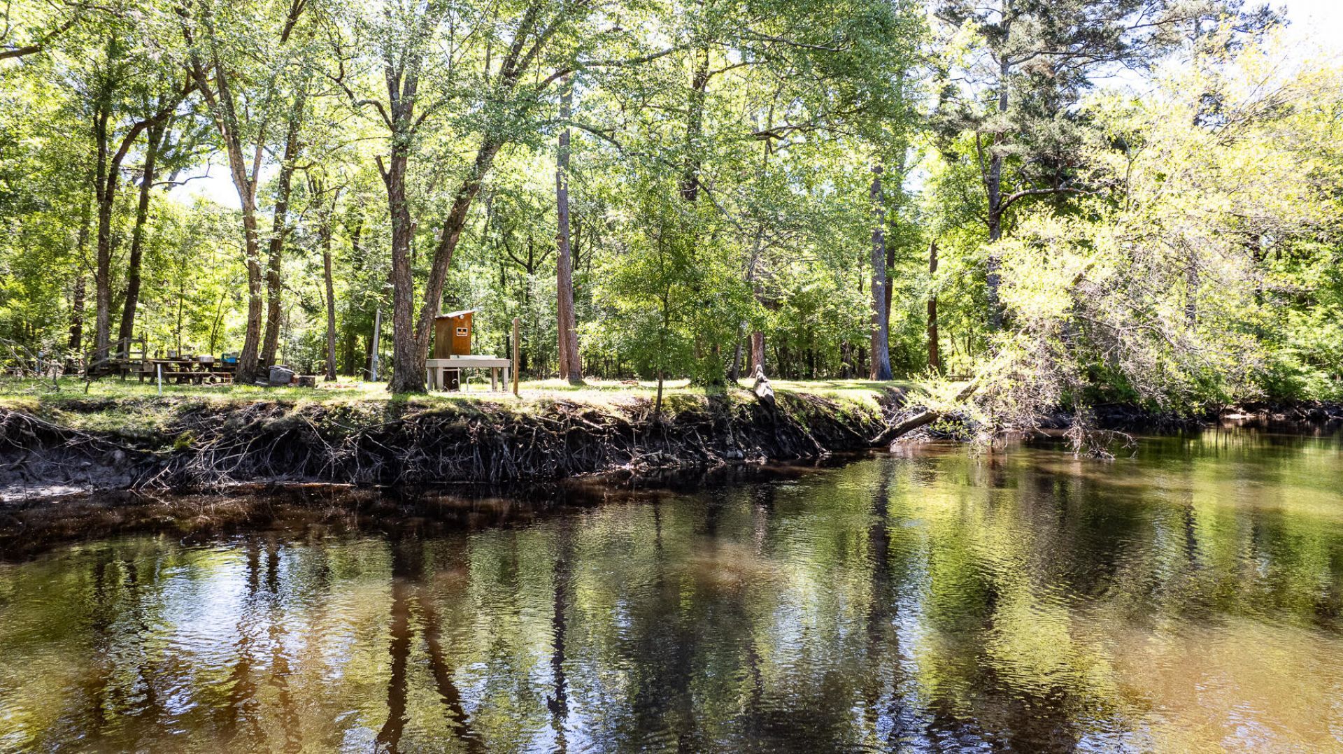 51 Mendel Court Photo 21