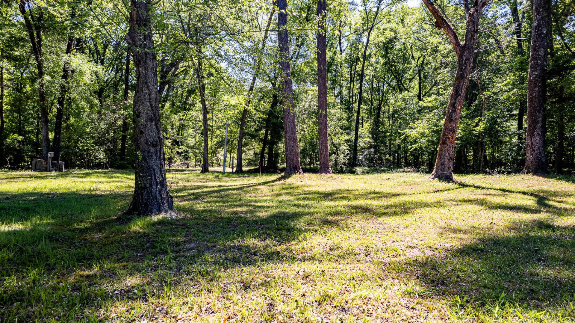 51 Mendel Court Photo 23