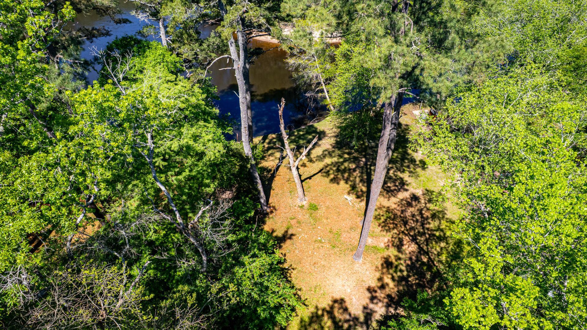 51 Mendel Court Photo 28