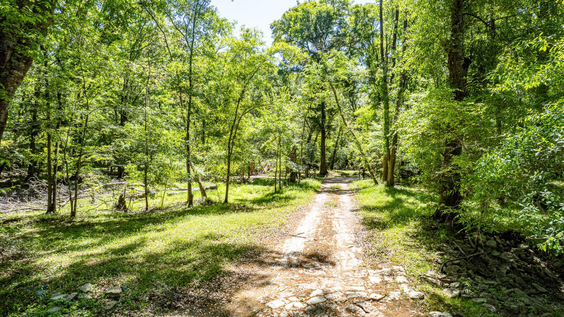 51 Mendel Court Photo 38