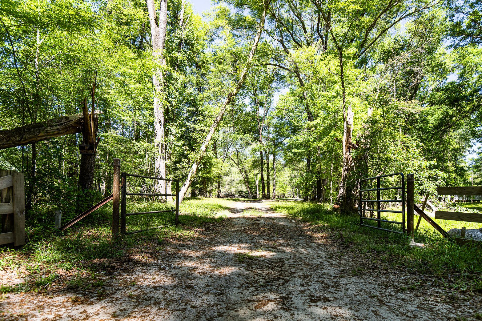 51 Mendel Court Photo 39