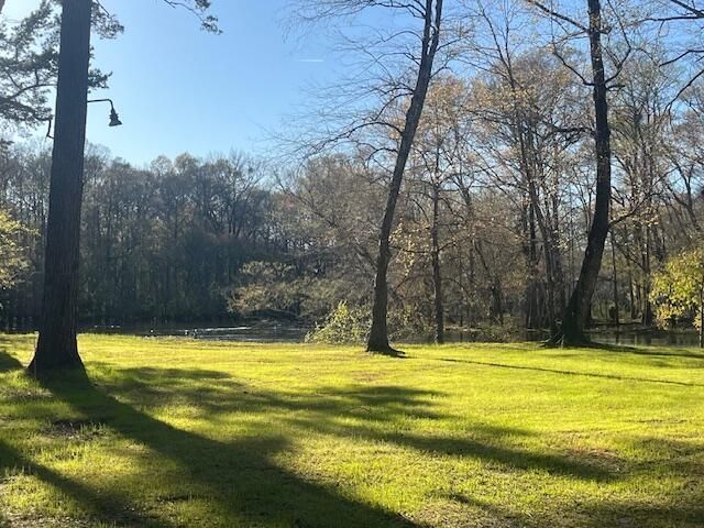 51 Mendel Court Photo 4