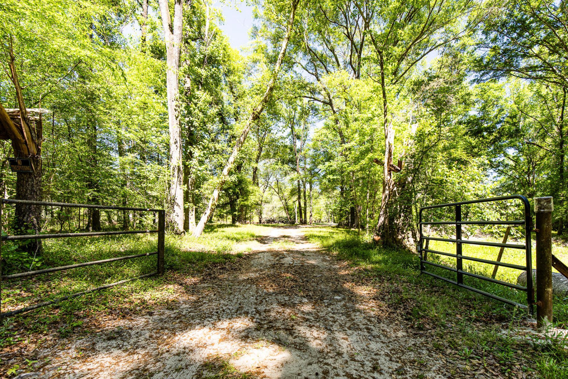 51 Mendel Court Photo 40