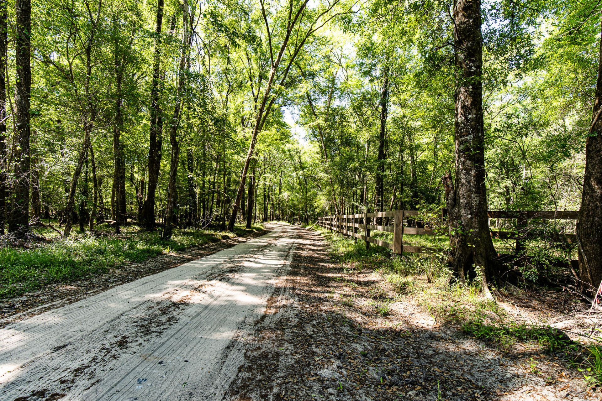 51 Mendel Court Photo 41