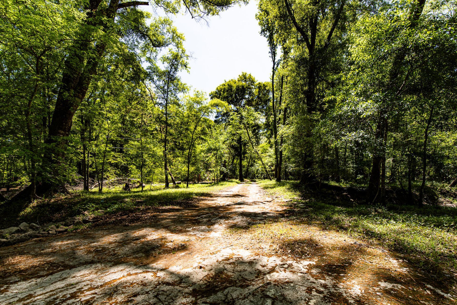 51 Mendel Court Photo 42