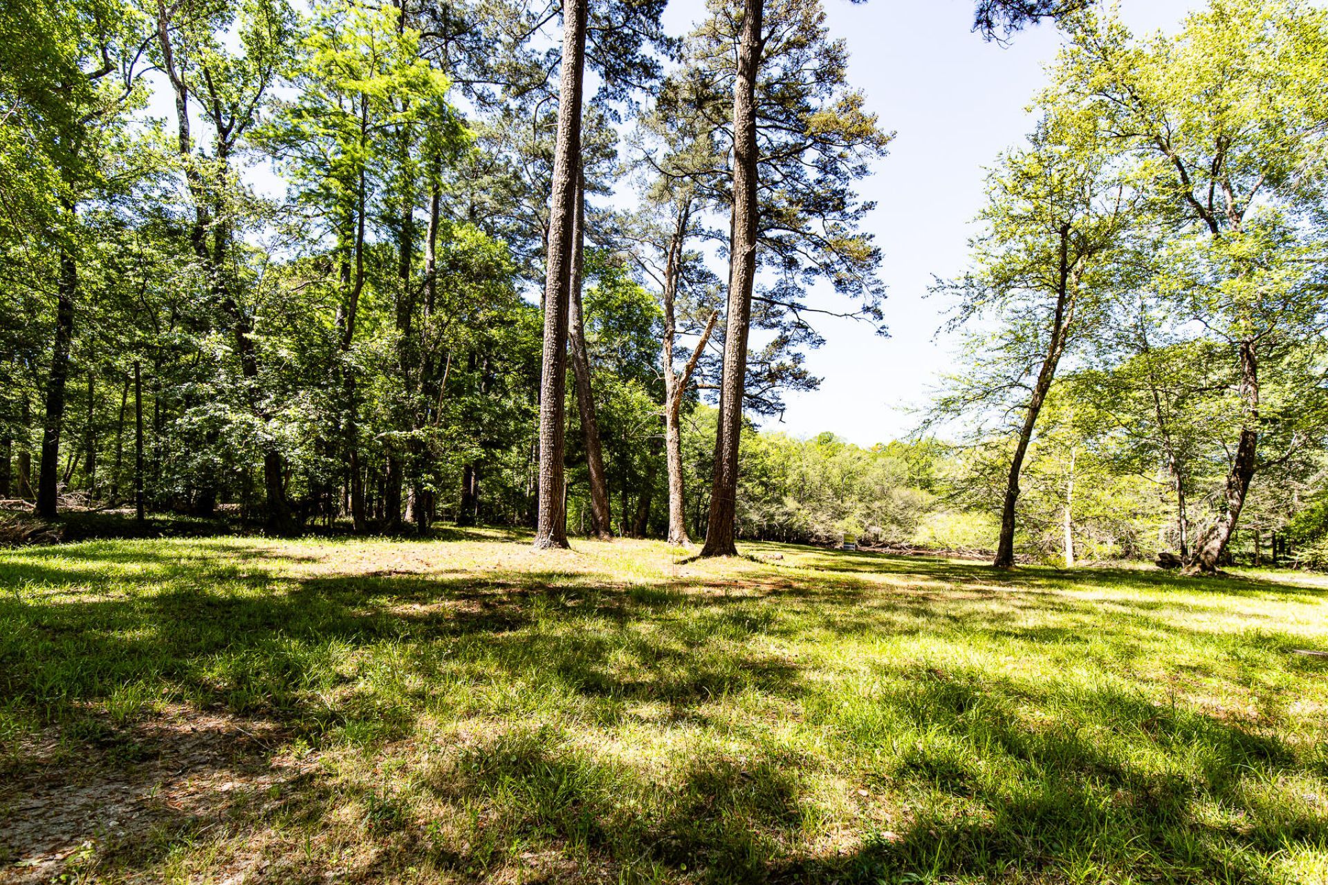 51 Mendel Court Photo 43