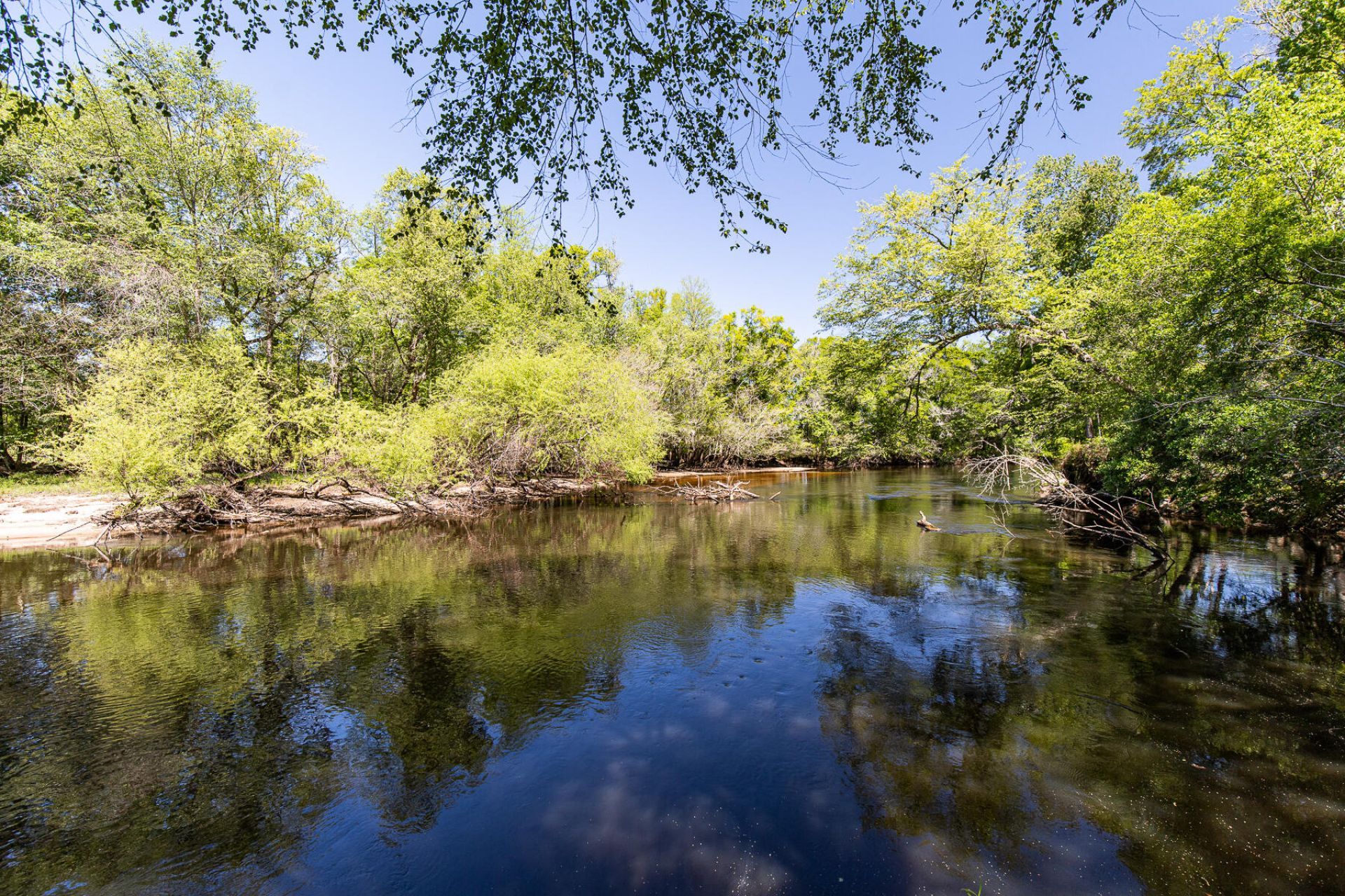 51 Mendel Court Photo 46