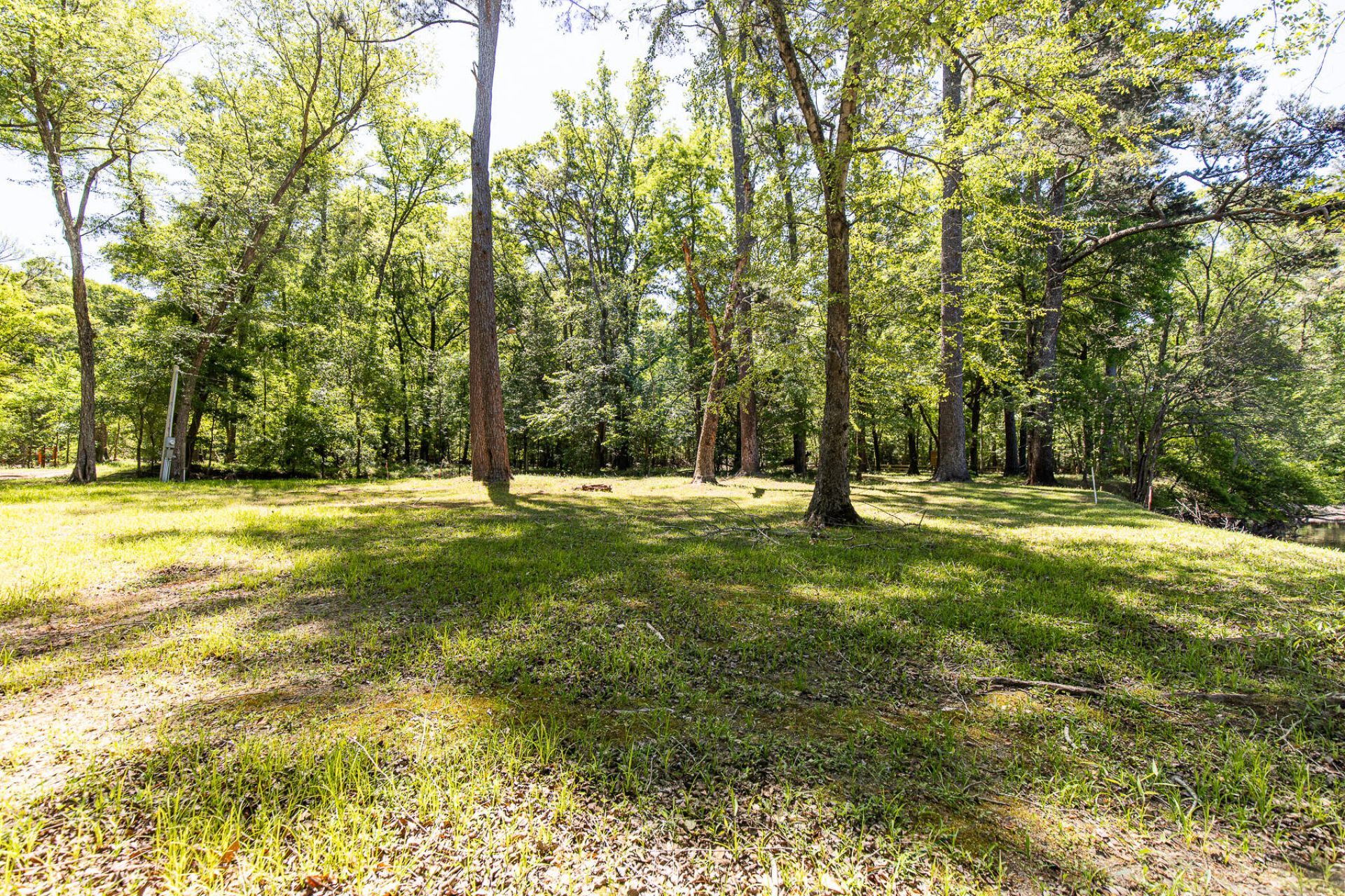 51 Mendel Court Photo 47