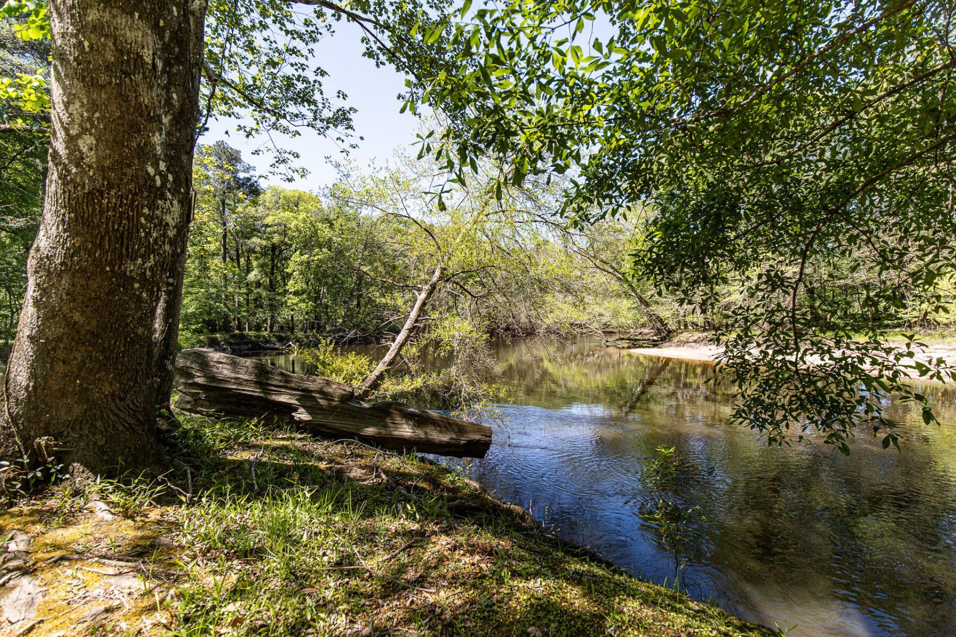 51 Mendel Court Photo 48