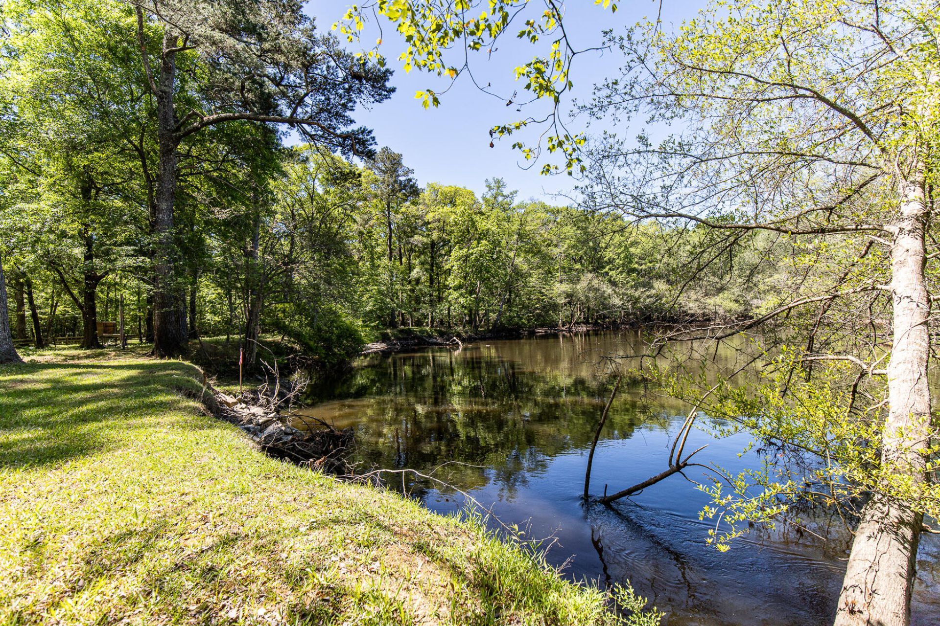 51 Mendel Court Photo 49