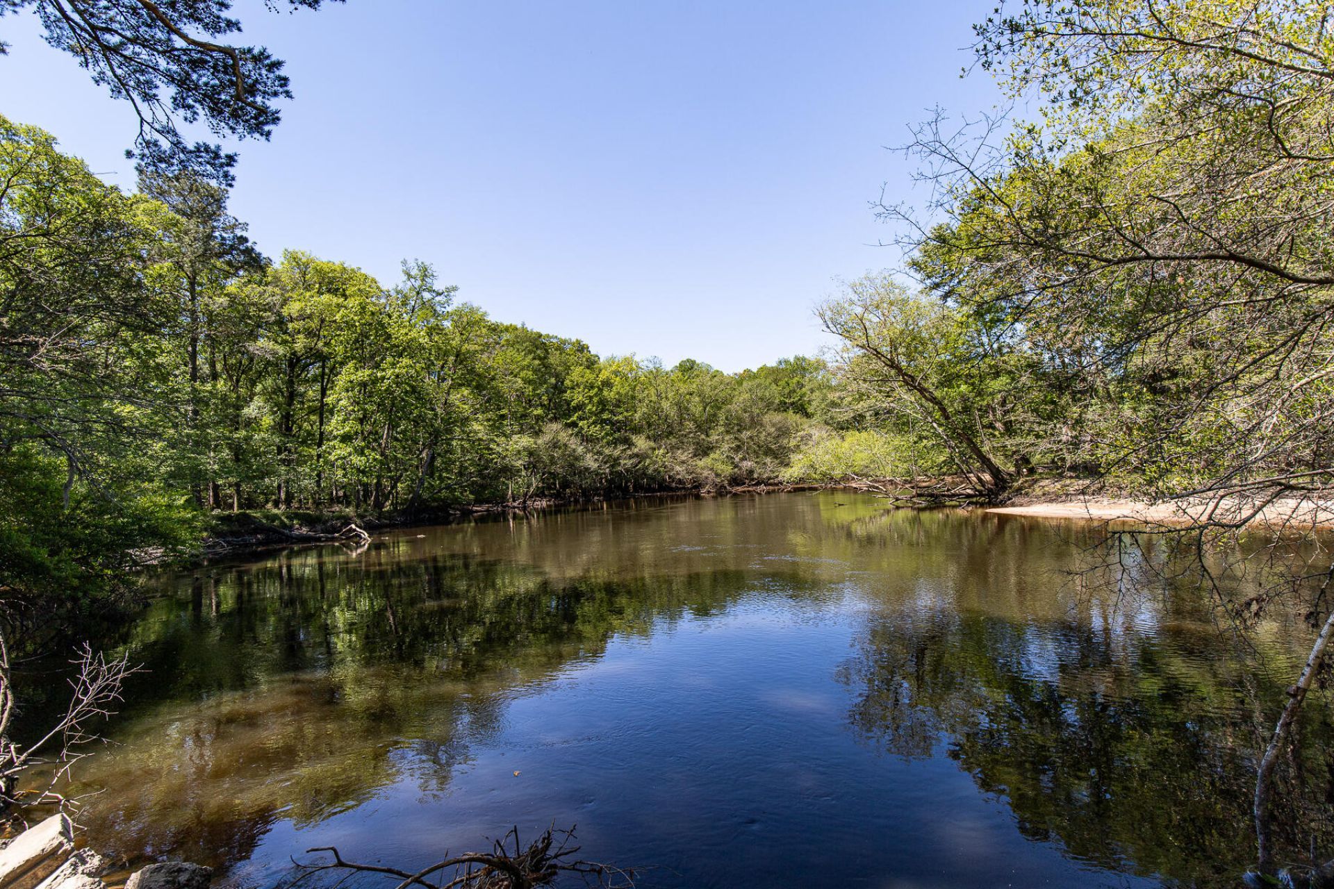 51 Mendel Court Photo 50