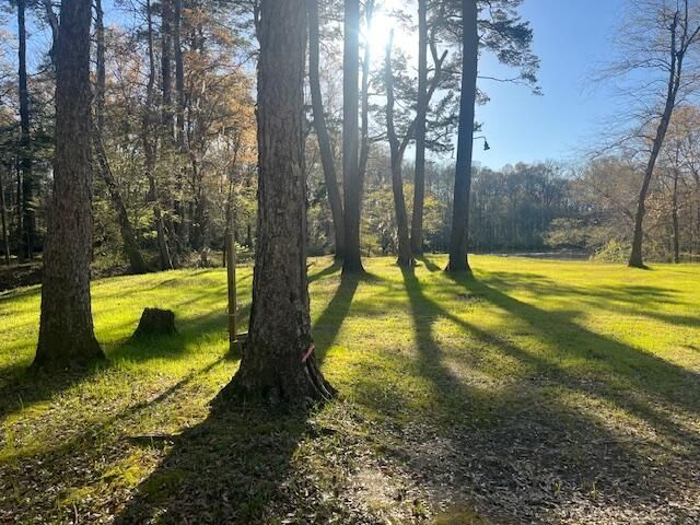 51 Mendel Court Photo 6