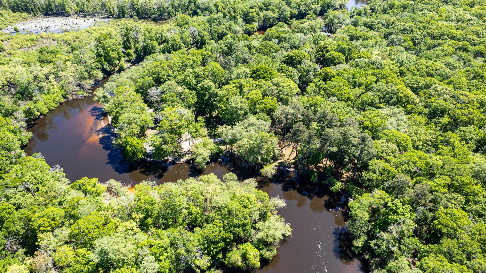 51 Mendel Court Photo 7