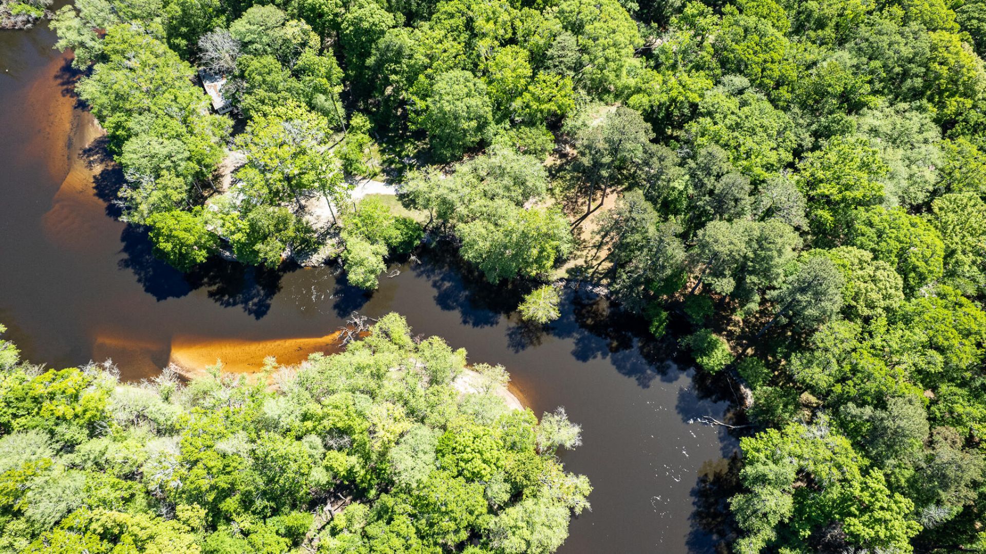 51 Mendel Court Photo 8