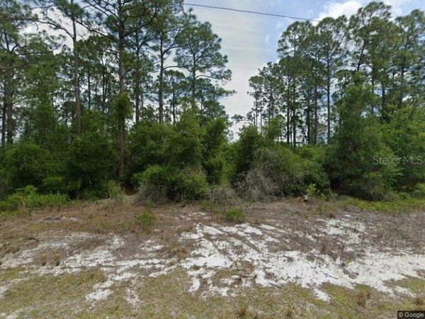 479 JOHNSON AVENUE NE, LAKE PLACID, FL 33852