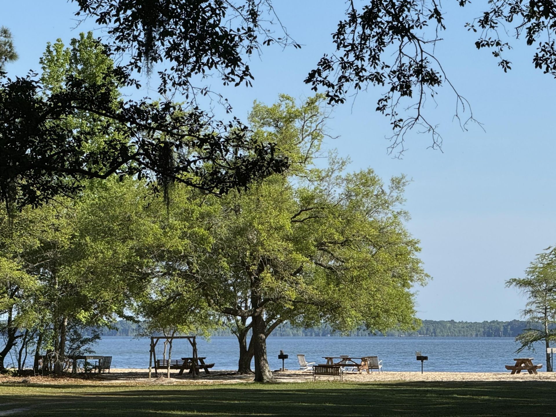 115 Marion Drive Photo 38