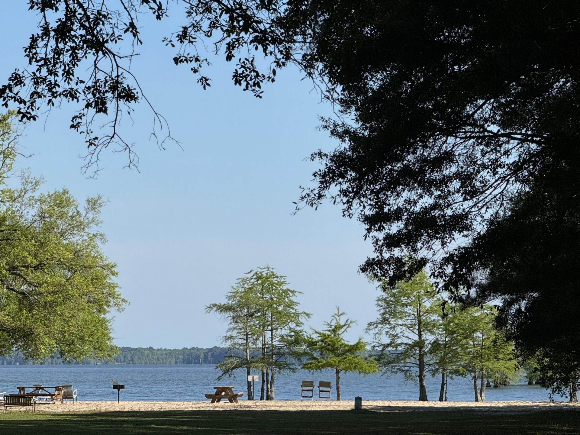 115 Marion Drive Photo 39