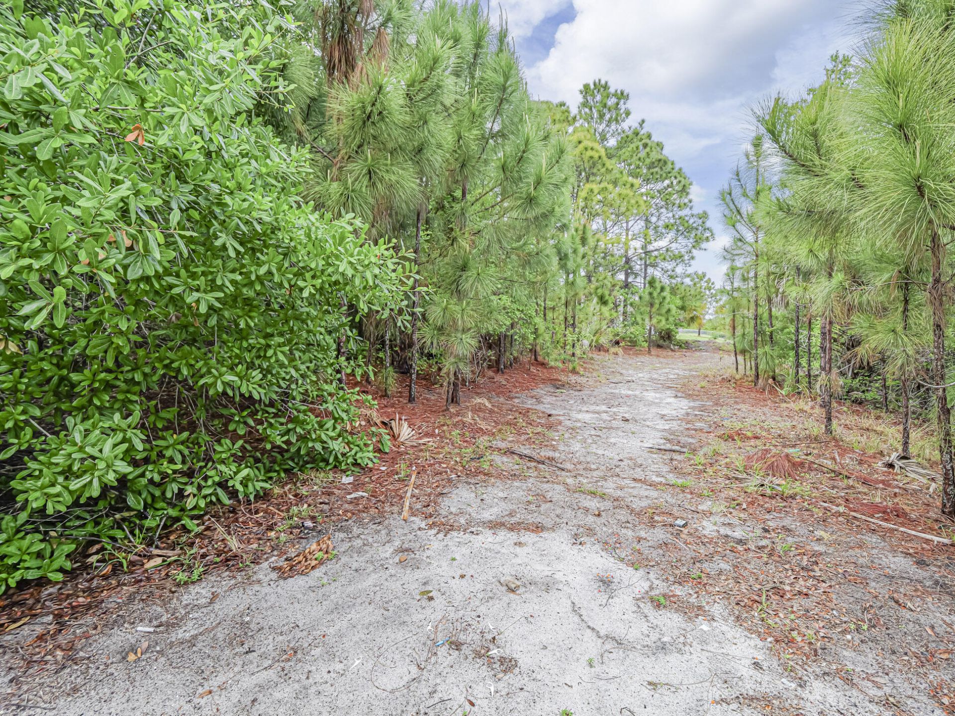 116 Dahl Avenue, Sebastian, FL 32958 Photo