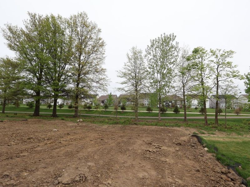 413 Zelkova Lane, Lewis Center, OH 43035 Photo 20