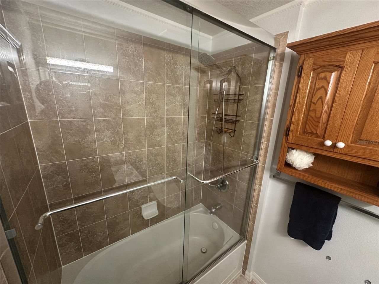 8809 White Sage Loop , Lakewood Ranch, FL 34202 Photo