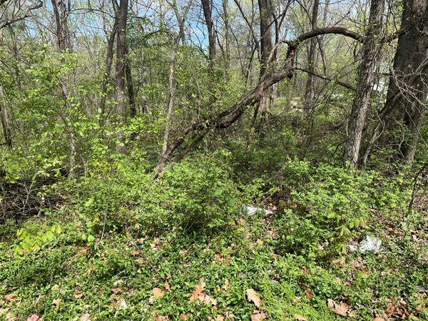 Lake Side Drive , Langley, OK 74350