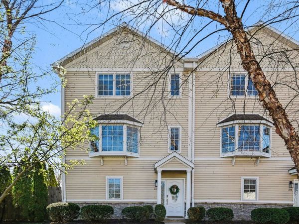 217 W Merchant Street, New Buffalo, MI 49117