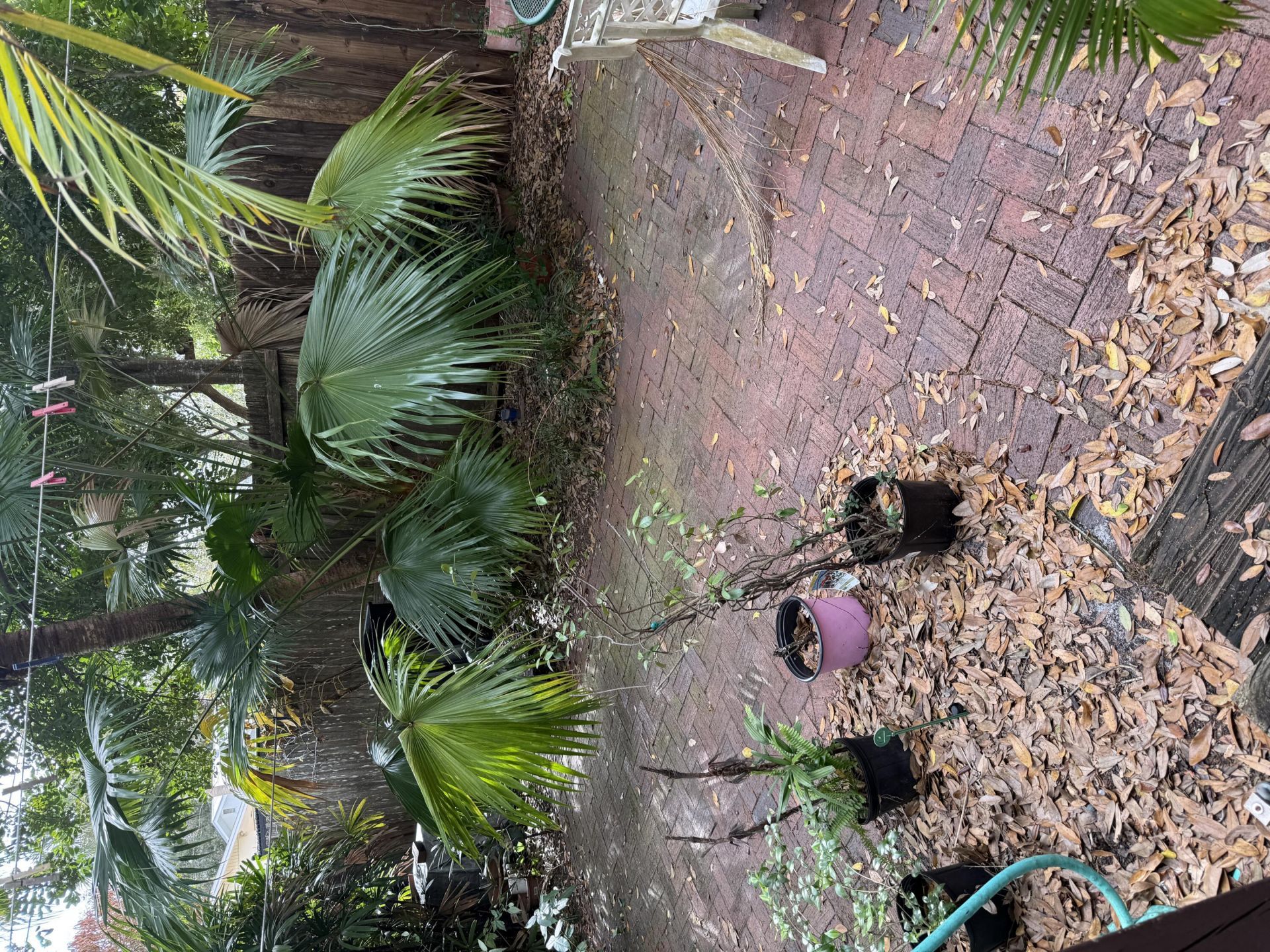 2346 18th Avenue, Vero Beach, FL 32960 Photo