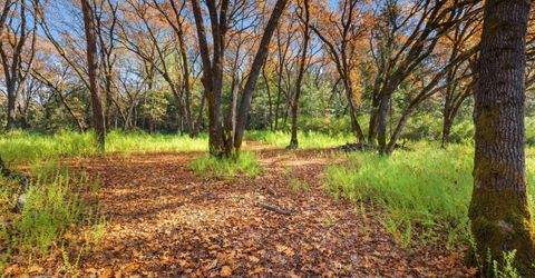 15385 Neils Rd, Auburn, CA 95603 Photo