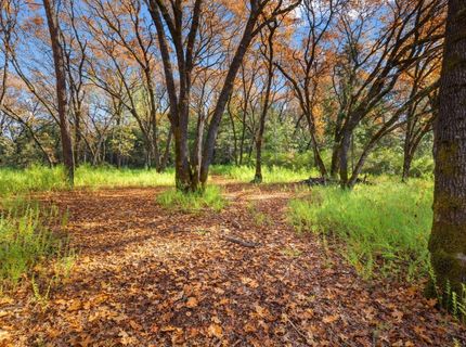 15385 Neils Rd, Auburn, CA 95603 Photo