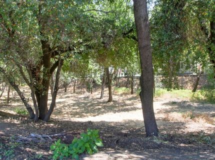 6114 Shadow Ln, Citrus Heights, CA 95621 Photo