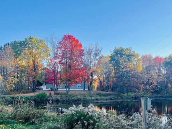 14321 N Chestnut Avenue, Reed City, MI 49677